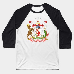 Cardiff Coat of Arms Baseball T-Shirt